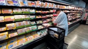 WhatsApp Image 2025-08-15 at 4.55.40 PM