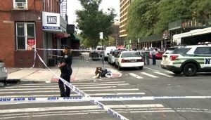 WhatsApp Image 2025-08-18 at 4.41.47 PM