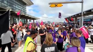 WhatsApp Image 2025-08-19 at 2.18.50 PM