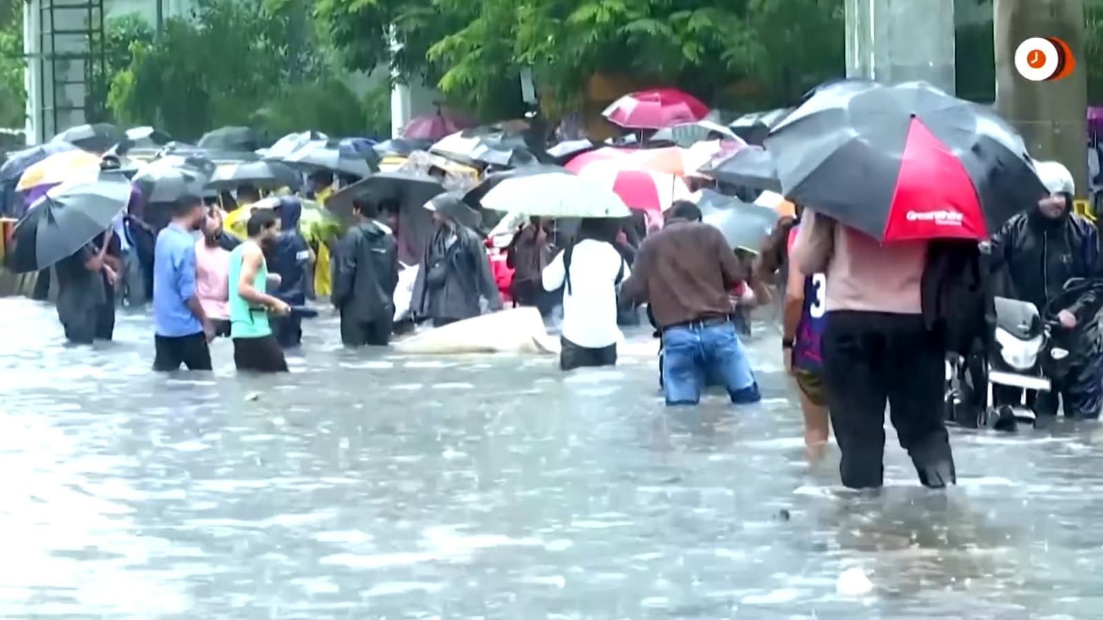 WhatsApp Image 2025-08-20 at 2.49.27 PM