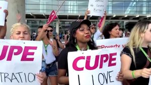 WhatsApp Image 2025-08-20 at 2.52.25 PM