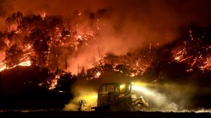 WhatsApp Image 2025-08-25 at 5.27.56 PM