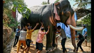 WhatsApp Image 2025-08-27 at 3.22.05 PM