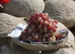 WhatsApp Image 2025-08-27 at 3.36.24 PM (1)