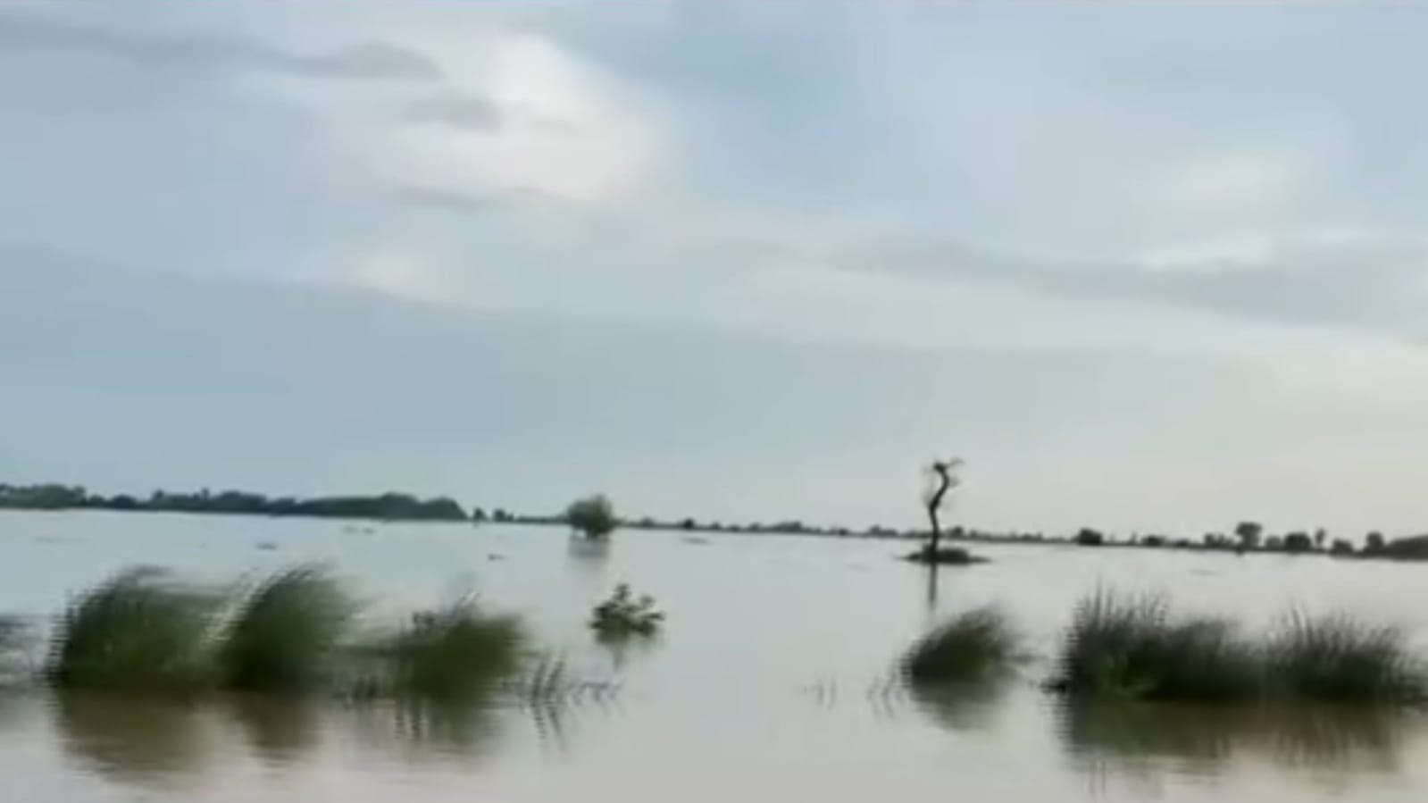 Severe Floods in River Sutlej Displace Thousands in Punjab