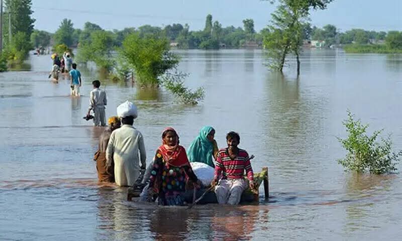 Punjab Floods Affect 600,000 People, Kill 15, Damage Infrastructure and Crops