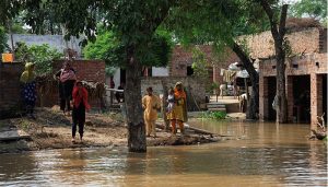 WhatsApp Image 2025-08-29 at 3.17.32 PM