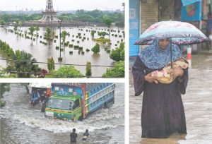 WhatsApp Image 2025-08-29 at 3.27.06 PM