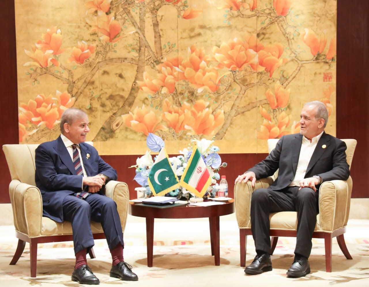 Shehbaz Sharif Meets Iranian President at SCO Summit