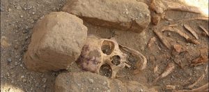 WhatsApp Image 2025-09-02 at 3.50.54 PM