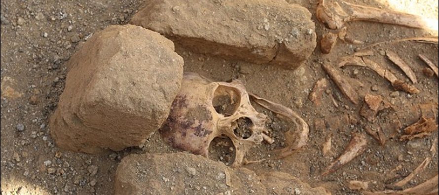 WhatsApp Image 2025-09-02 at 3.50.54 PM