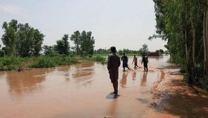 WhatsApp Image 2025-09-03 at 4.36.15 PM