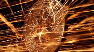 WhatsApp Image 2025-09-08 at 3.44.24 PM