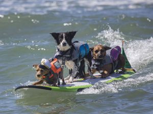 WhatsApp Image 2025-09-08 at 3.50.31 PM