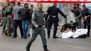 WhatsApp Image 2025-09-08 at 3.53.44 PM