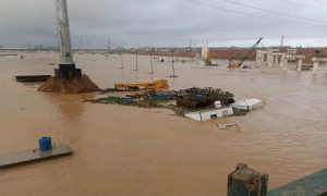 WhatsApp Image 2025-09-10 at 3.17.09 PM