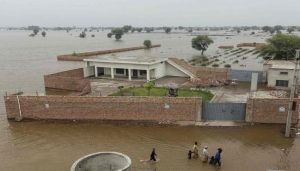 WhatsApp Image 2025-09-10 at 3.22.00 PM