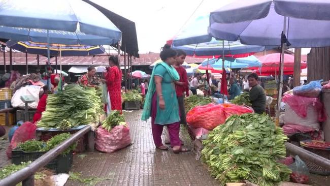 WhatsApp Image 2025-09-13 at 6.51.43 PM