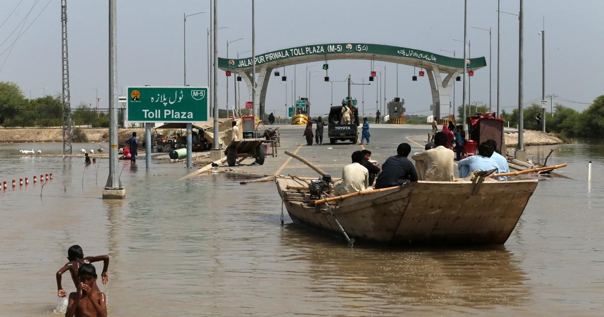PDMA Punjab Blames Public Negligence for Flood Damage in South Punjab