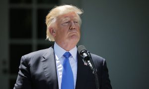 WhatsApp Image 2025-09-29 at 4.16.17 PM