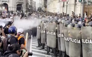 WhatsApp Image 2025-09-29 at 4.19.41 PM