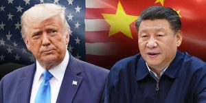 WhatsApp Image 2025-10-11 at 7.42.15 PM