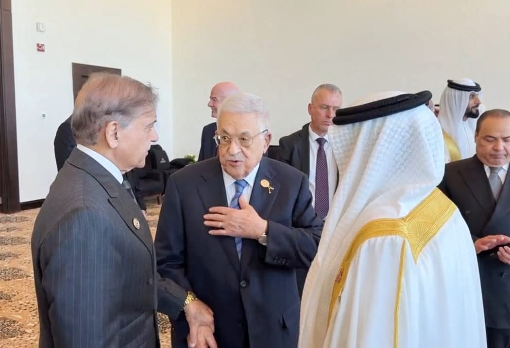 PM Shehbaz Sharif Meets Regional Leaders at Sharm El-Sheikh Peace Summit