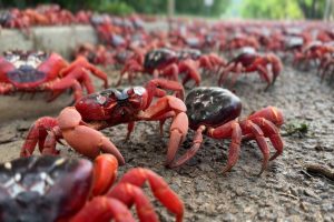 WhatsApp Image 2025-10-24 at 4.50.15 PM