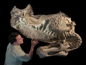 WhatsApp Image 2025-10-24 at 5.02.32 PM