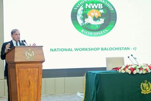 WhatsApp Image 2025-10-25 at 4.09.44 PM