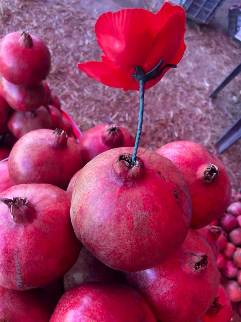 Kandahar Pomegranates Missing from Pakistani Markets This Winter
