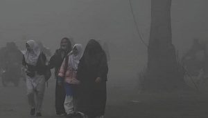 WhatsApp Image 2025-11-03 at 3.34.47 PM