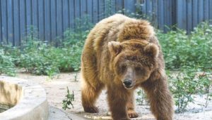 WhatsApp Image 2025-11-05 at 4.32.47 PM