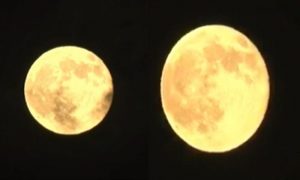 WhatsApp Image 2025-11-05 at 5.01.49 PM