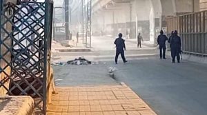 WhatsApp Image 2025-11-24 at 11.07.01 AM