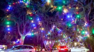 WhatsApp Image 2025-12-08 at 9.49.32 AM (1)