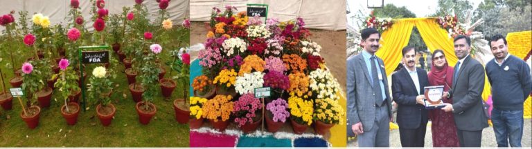 WhatsApp Image 2025-12-11 at 3.40.05 PM