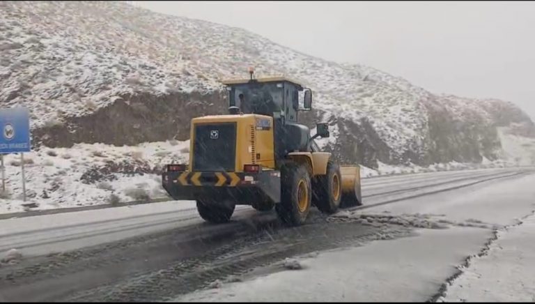 WhatsApp Image 2025-12-21 at 11.04.01 AM