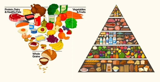 US Dietary Guidelines 2025 inverted food pyramid featuring protein and full-fat dairy