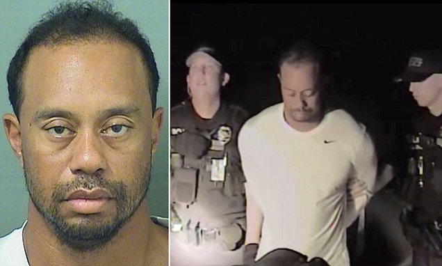 Tiger Woods mug photo from Martin County Sheriff's Office after 2026 DUI arrest in Jupiter Island Florida