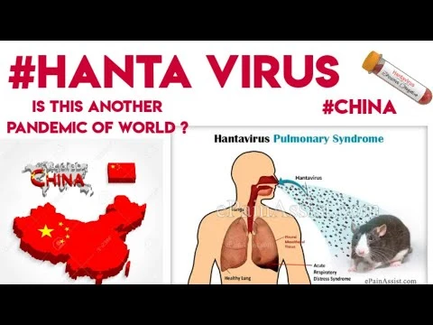 A microscopic view of hantavirus particles, highlighting the deadly rodent-borne virus causing global concern in 2026.