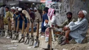 Workers in Pakistan working from home under labour law protections 2025
