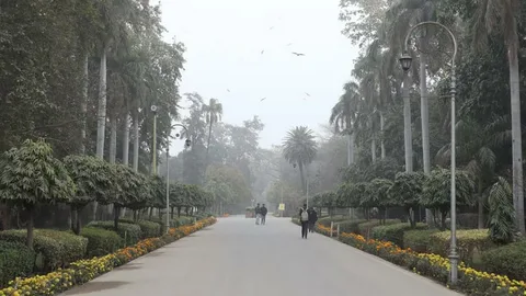 Lahore weather 2026 updates: today, tomorrow, hourly, 10-day forecast and seasonal patterns including January, May, and August outlook.