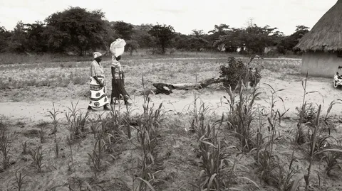 Climate-affected families in rural Zimbabwe facing displacement and migration due to drought and environmental pressures.