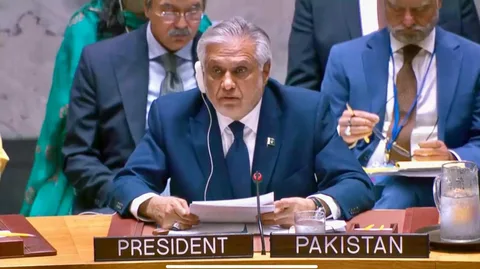 Pakistan representative speaking during United Nations Security Council meeting