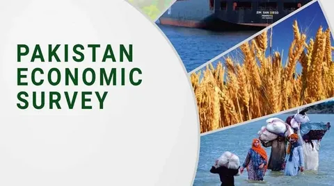 Pakistan Finance Ministry officials presenting the Economic Survey 2025-26 highlighting growth, inflation, exports, and development indicators.