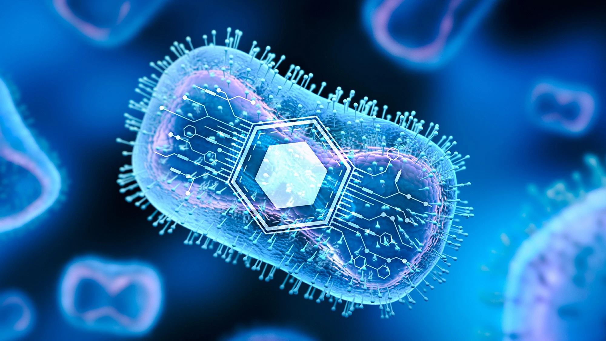 Scientists research bacteria-based technology designed to target cancer tumors.