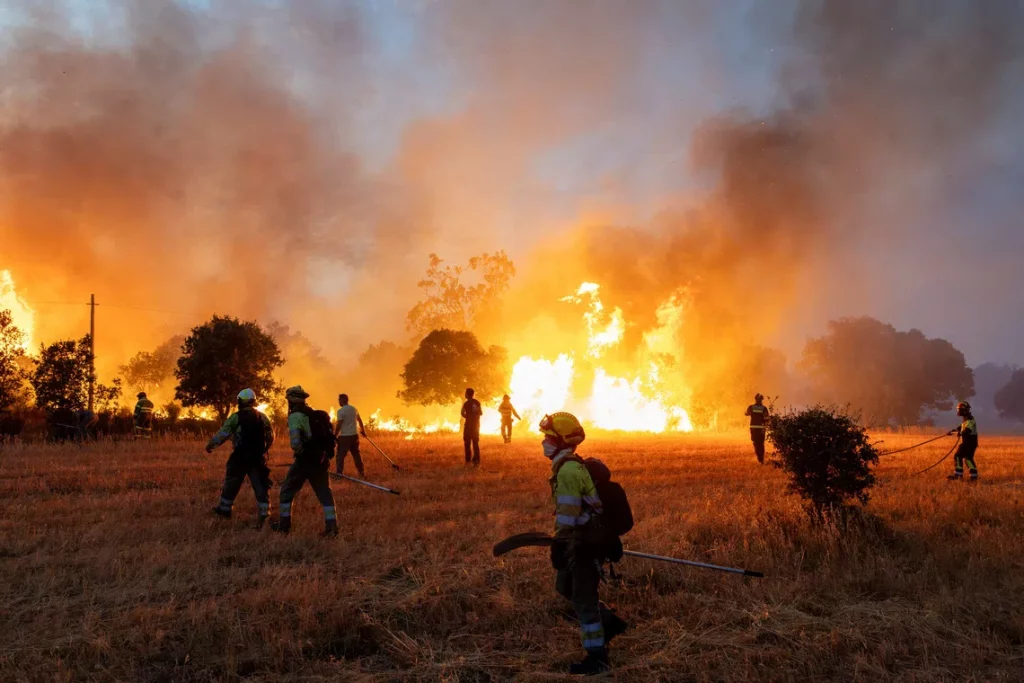 Wildfires burning across forests and landscapes during the global wildfire crisis in 2026.