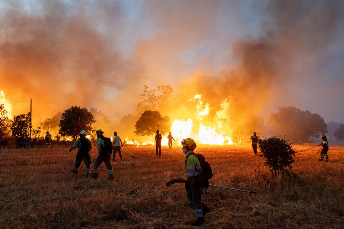 Wildfires burning across forests and landscapes during the global wildfire crisis in 2026.