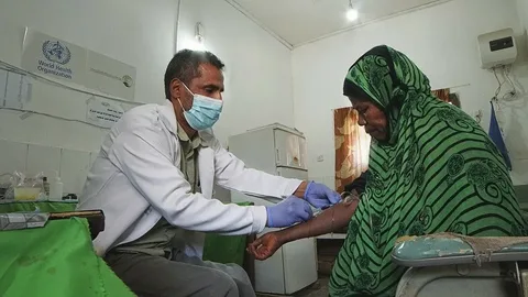 Herbal leaves, oil and honey mixture used as alternative medicine in Yemen healthcare crisis